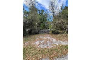1237 VEECH ROAD, LEESBURG, FL 34748 - MLS#MFRG5110022