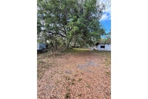 1237 VEECH ROAD, LEESBURG, FL 34748 - MLS#MFRG5110022