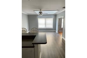 29 MAGNOLIA AVENUE, EUSTIS, FL 32726 - MLS#MFRG5110037