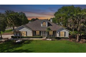3333 SITE TO SEE AVENUE, EUSTIS, FL 32726 - MLS#MFRG5110055