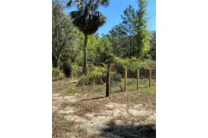 24533 PINK PANTHER ROAD, PAISLEY, FL 32767 - MLS#MFRG5110075
