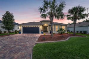 10396 SILVER MAPLE AVENUE, OXFORD, FL 34484 - MLS#MFRG5110084