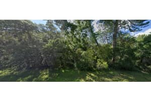 SW 19TH AVENUE RD, OCALA, FL 34473 - MLS#MFRG5110155