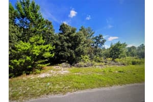 SW 41ST CT, OCALA, FL 34473 - MLS#MFRG5110158