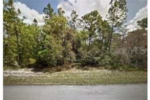 MARION OAKS PASS, OCALA, FL 34473 - MLS#MFRG5110162
