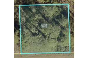 1103 11TH STREET, LEHIGH ACRES, FL 33972 - MLS#MFRG5110169