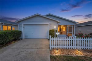 2376 BRANCHVILLE TERRACE, THE VILLAGES, FL 32162 - MLS#MFRG5110205