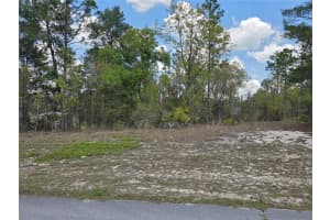 SW 139TH PLACE RD, OCALA, FL 34473 - MLS#MFRG5110217