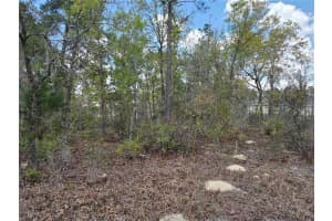 SW 139TH PLACE RD, OCALA, FL 34473 - MLS#MFRG5110217