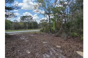 SW 139TH PLACE RD, OCALA, FL 34473 - MLS#MFRG5110217