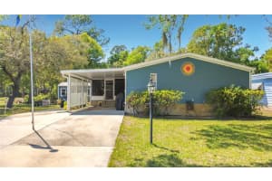 2523 KAREN DRIVE, MOUNT DORA, FL 32757 - MLS#MFRG5110231