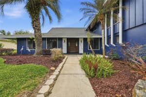 29116 BEAUCLAIRE DRIVE, TAVARES, FL 32778 - MLS#MFRG5110271