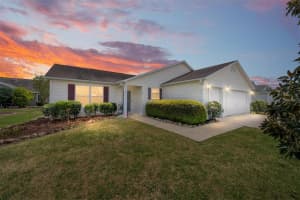 2239 Baldwin Run, THE VILLAGES