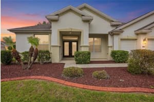 9029 130TH LOOP, SUMMERFIELD, FL 34491 - MLS#MFRG5110412