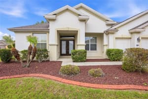 9029 130TH LOOP, SUMMERFIELD, FL 34491 - MLS#MFRG5110412