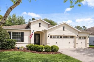 30231 HACKNEY LOOP, MOUNT DORA, FL 32757 - MLS#MFRG5110496