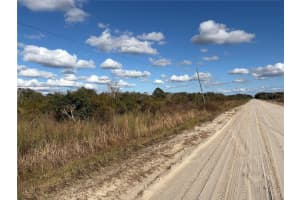 22287 264TH STREET, OKEECHOBEE, FL 34972 - MLS#MFRG5110509
