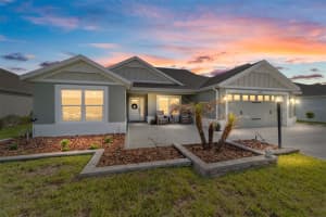 6849 MICKYLEE RUN, THE VILLAGES, FL 34762 - MLS#MFRG5110622