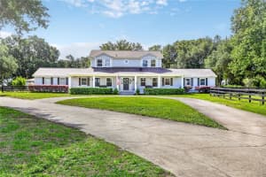 32040 CHESTNUT LANE, SORRENTO, FL 32776 - MLS#MFRG5110634