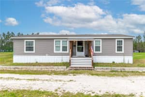 12655 215TH STREET, FORT MC COY, FL 32134 - MLS#MFRG5110739