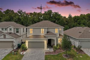 2341 SIRENA LANE, MOUNT DORA, FL 32757 - MLS#MFRG5110853