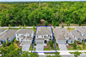 2341 SIRENA LANE, MOUNT DORA, FL 32757 - MLS#MFRG5110853