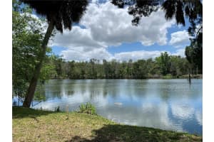 1045 CRESCENT DRIVE, CRYSTAL RIVER, FL 34429 - MLS#MFRG5110854