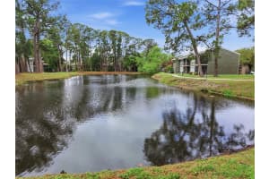 6060 PEREGRINE AVENUE, ORLANDO, FL 32819 - MLS#MFRG5110859