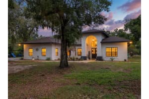 6030 MILLSTREAM DR, GROVELAND, FL 34736 - MLS#MFRG5110952