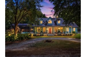 250 WALKER STREET, OAKLAND, FL 34760 - MLS#MFRG5110973