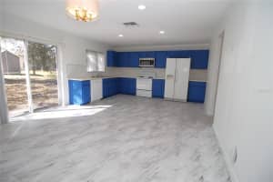 1455 BLUE HORIZON DRIVE, CLERMONT, FL 34714 - MLS#MFRG5111012