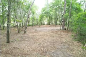 LOCUST RUN CRSE, OCALA, FL 34472 - MLS#MFRG5111023