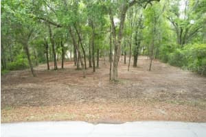 LOCUST RUN CRSE, OCALA, FL 34472 - MLS#MFRG5111023