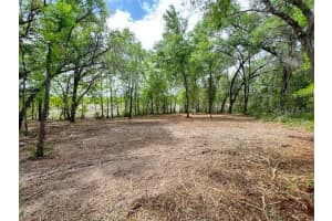 LOCUST RUN CRSE, OCALA, FL 34472 - MLS#MFRG5111023