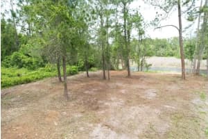 LOCUST RUN DR, OCALA, FL 34472 - MLS#MFRG5111025