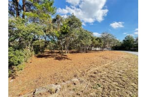 OAK CIR, OCALA, FL 34472 - MLS#MFRG5111029