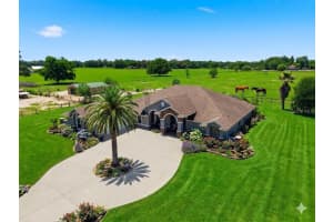 12764 COUNTY ROAD 223, OXFORD, FL 34484 - MLS#MFRG5111074