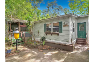 27912 LAKE AVENUE, PAISLEY, FL 32767 - MLS#MFRG5111098