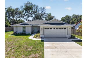335 VINCENT DRIVE, MOUNT DORA, FL 32757 - MLS#MFRG5111178