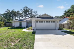 335 VINCENT DRIVE, MOUNT DORA, FL 32757 - MLS#MFRG5111178