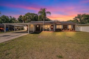 127 Connie Ave, TAMPA