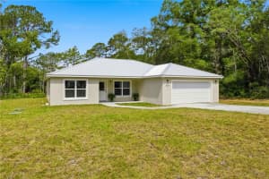 124 GUAVA TERRACE, OCKLAWAHA, FL 32179 - MLS#MFRG5111407