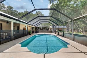11241 EM EN EL GROVE ROAD, LEESBURG, FL 34788 - MLS#MFRG5111421
