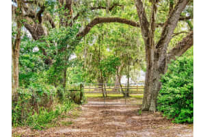 2713 CR 776, WEBSTER, FL 33597 - MLS#MFRG5111451