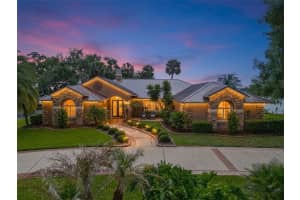 29650 Squirrel Point Rd, TAVARES