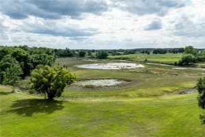 25101 TURKEY LAKE ROAD, HOWEY IN THE HILLS, FL 34737 - MLS#MFRG5111478