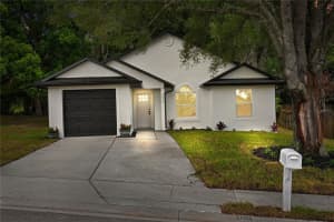 1038 Sheeler Hills Dr, APOPKA