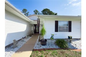 32676 OAK PARK DRIVE, LEESBURG, FL 34748 - MLS#MFRG5111662