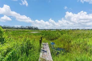 26833 ANDERSON RANCH ROAD, YALAHA, FL 34797 - MLS#MFRG5111671