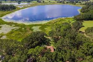 26833 ANDERSON RANCH ROAD, YALAHA, FL 34797 - MLS#MFRG5111671